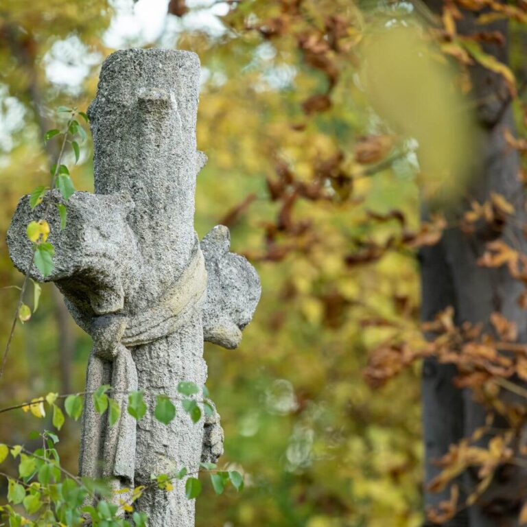 Die Geheimnisse Des Friedhofs St. Marx