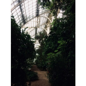 The Palmenhaus Schönbrunn Vienna