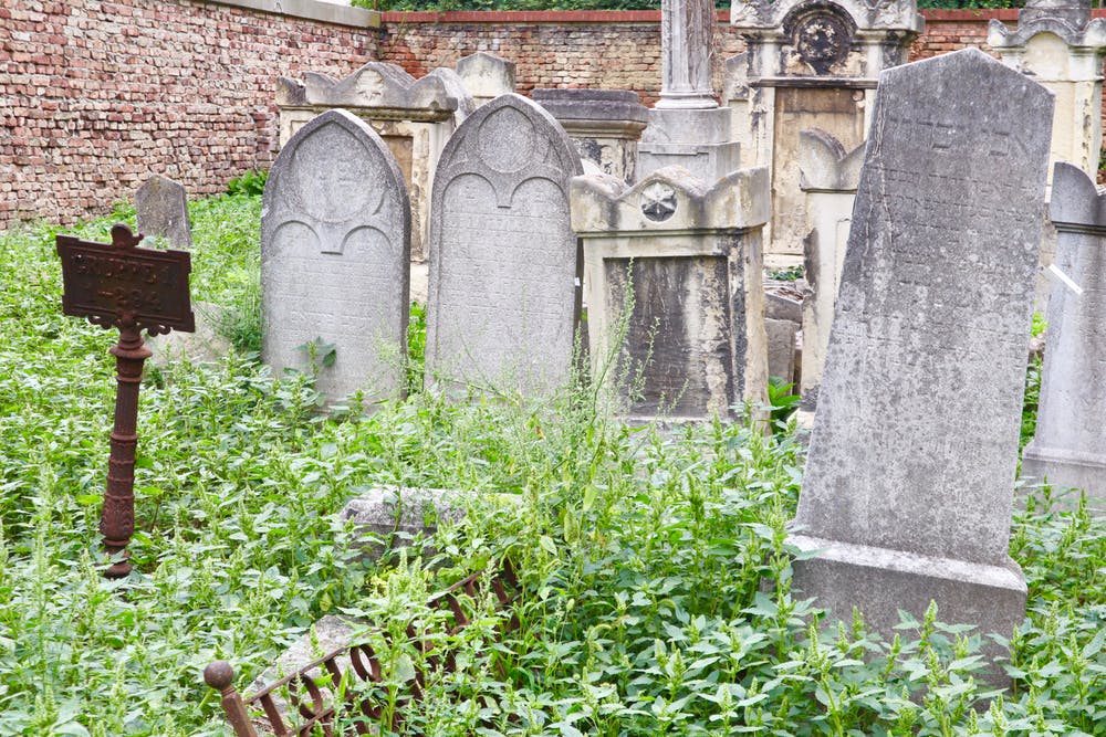 Read more about the article The story of the Jewish cemetery in Währing