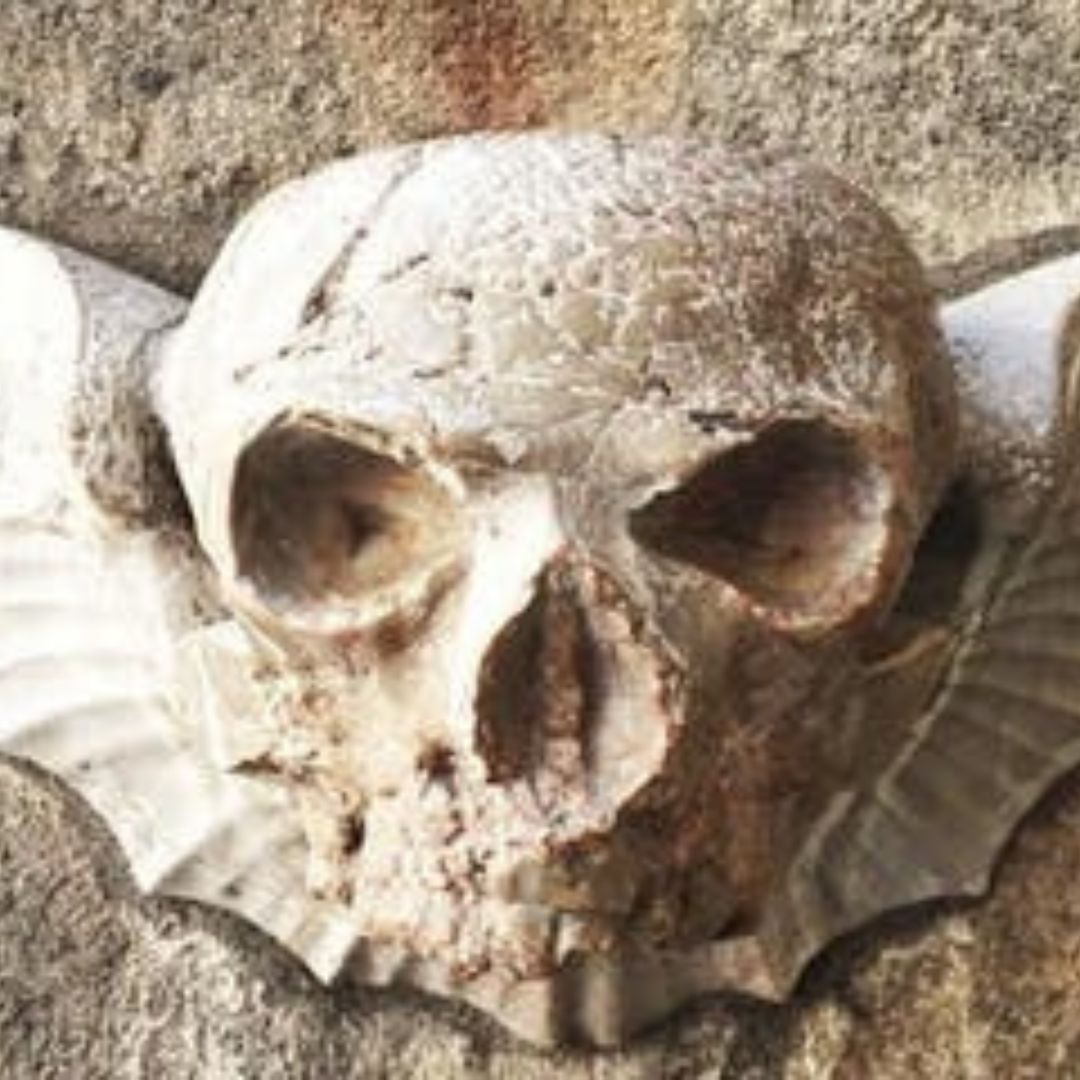 Read more about the article Die Dunkle Seite von Wien