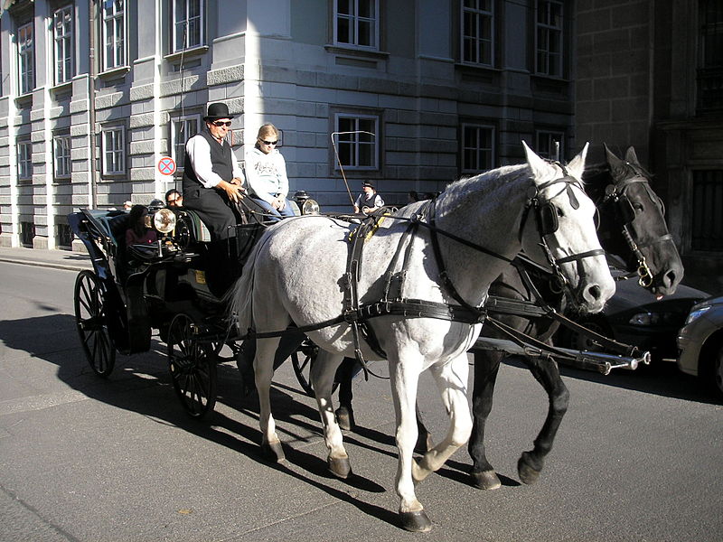 Read more about the article Taking a horse carriage tour in Vienna – is it recommended?