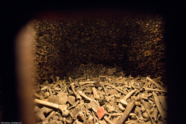 Read more about the article When visiting Stephansdom, Make Sure You Visit the Catacombs