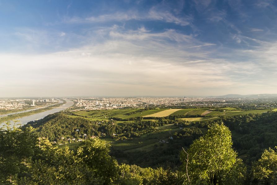 Read more about the article Enjoy a beautiful view of Vienna from the Kahlenberg