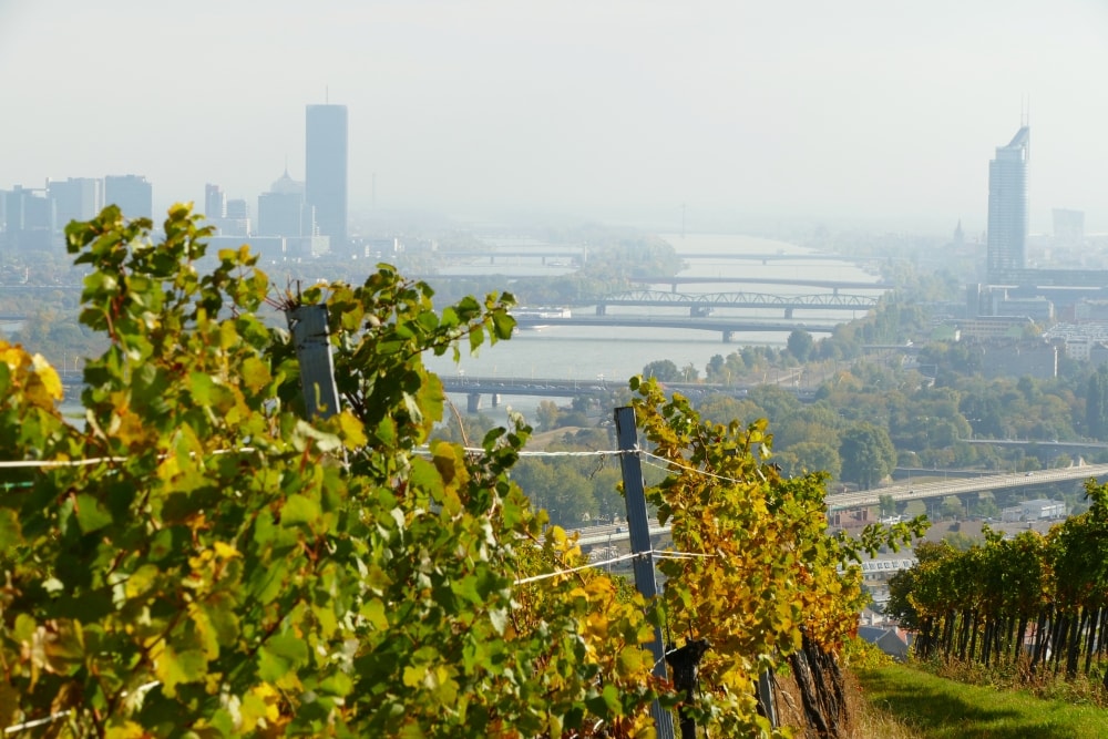 Read more about the article Vienna’s Wine Culture in Grinzing