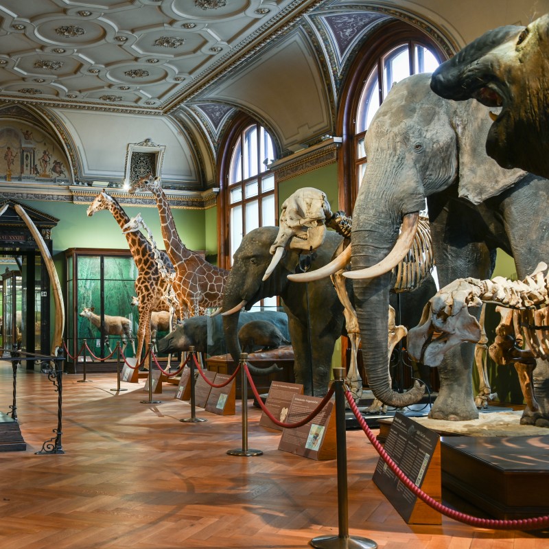 Read more about the article Wiener Museen für Schulbesuche