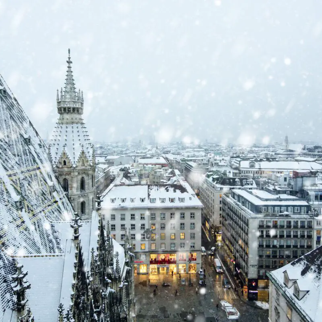 Read more about the article Vienna in Winter: Your Post-New Year’s Guide