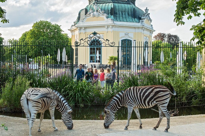 Read more about the article The Origin of the World’s First Zoo: Why It Was Founded in Vienna
