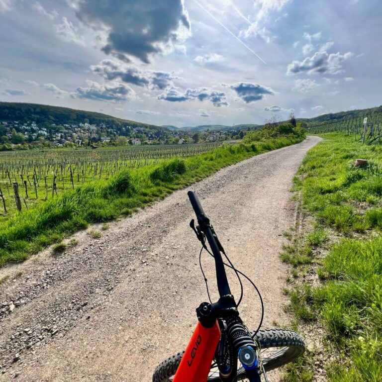 Vienna Woods E Mountainbike Tour