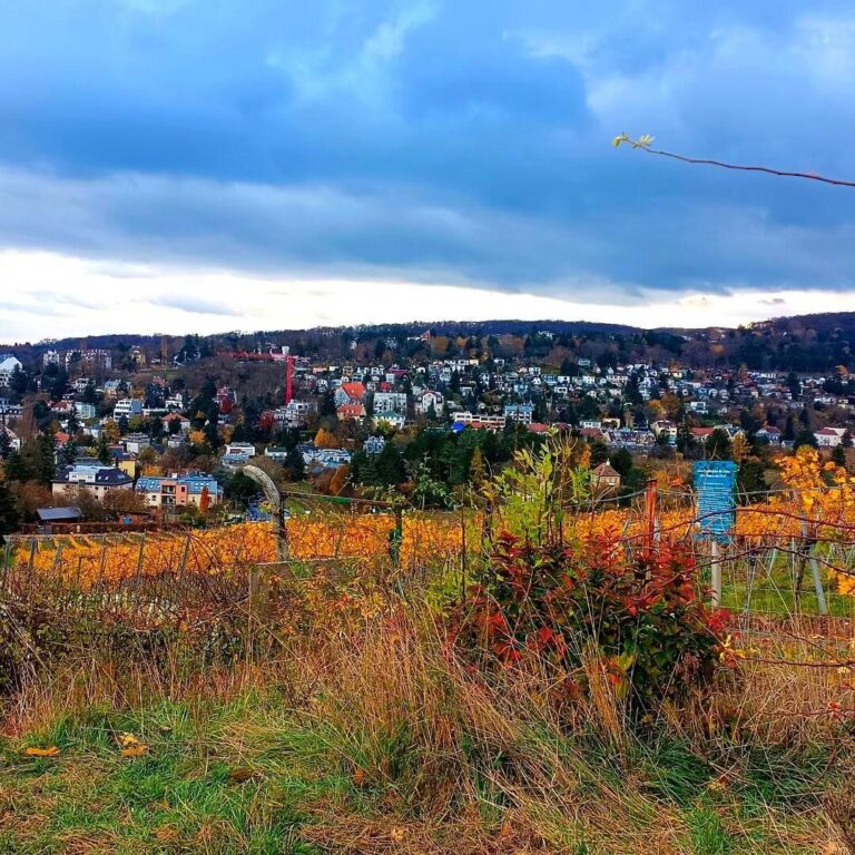 Wien Und Der Wein – Ein Spaziergang Durch Den 19. Bezirk