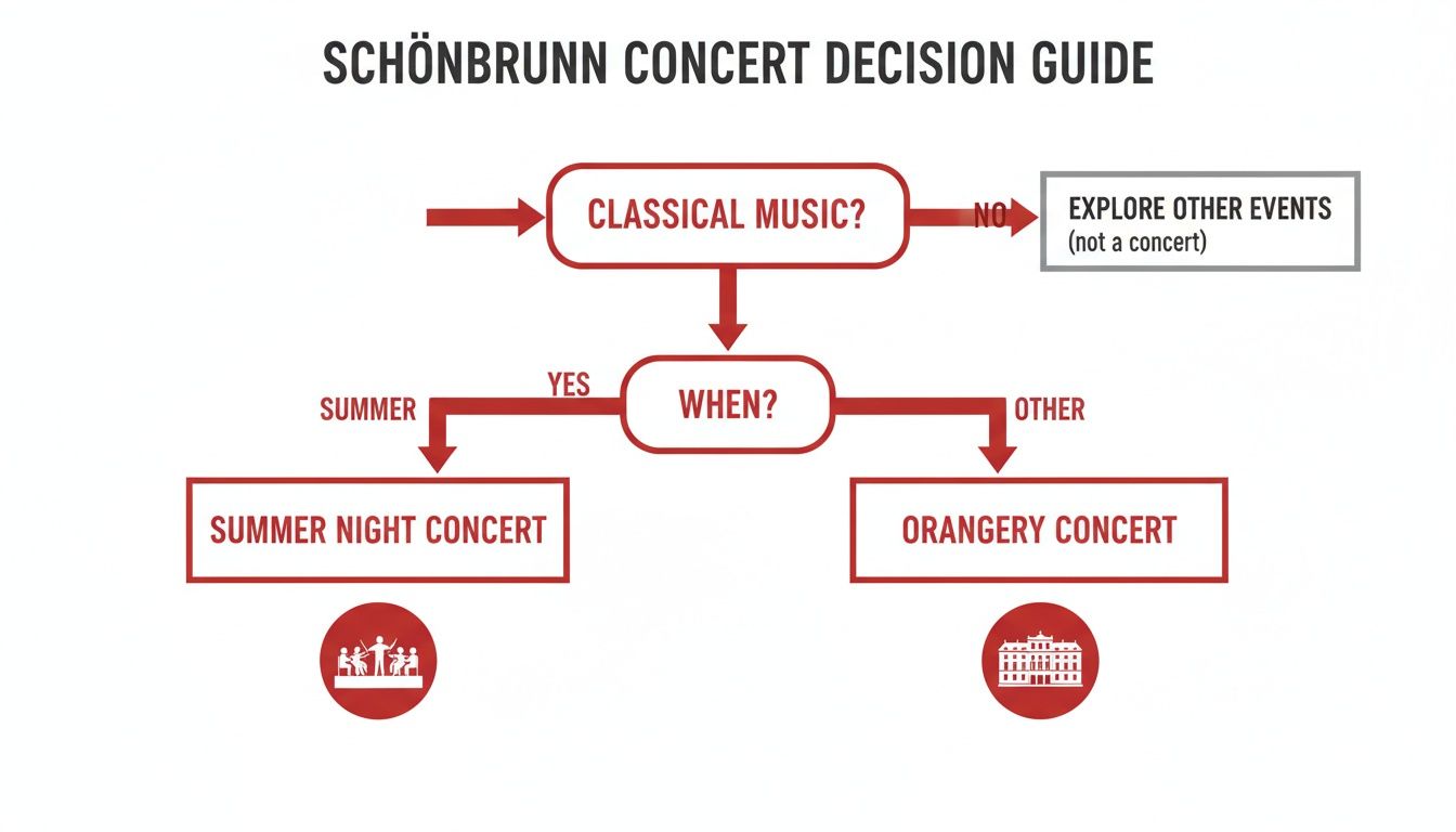 A decision guide flowchart for Schönbrunn concerts, including classical music options.
