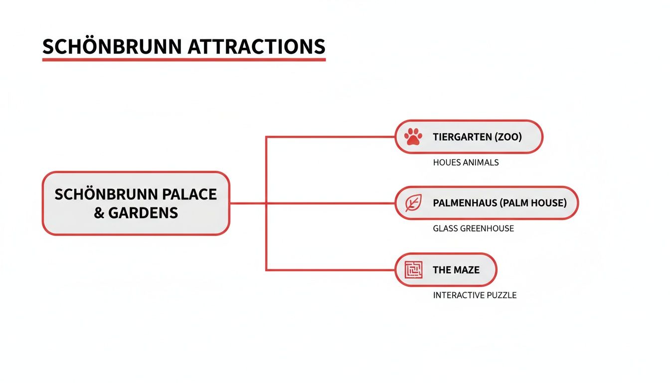Diagram illustrating Schönbrunn Palace & Gardens attractions, including the zoo, palm house, and maze.
