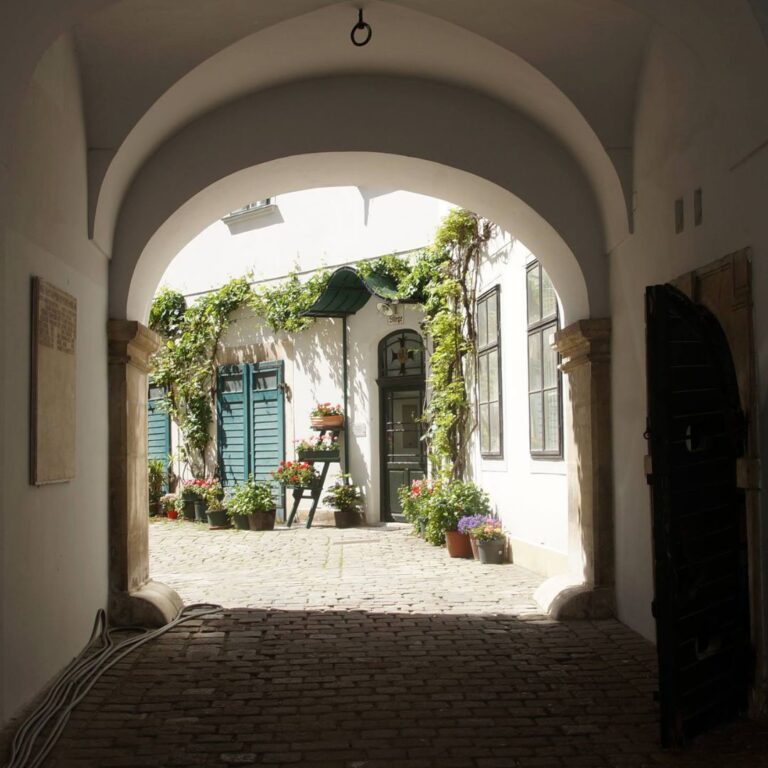Ein Blick ins unbekannte Wien​