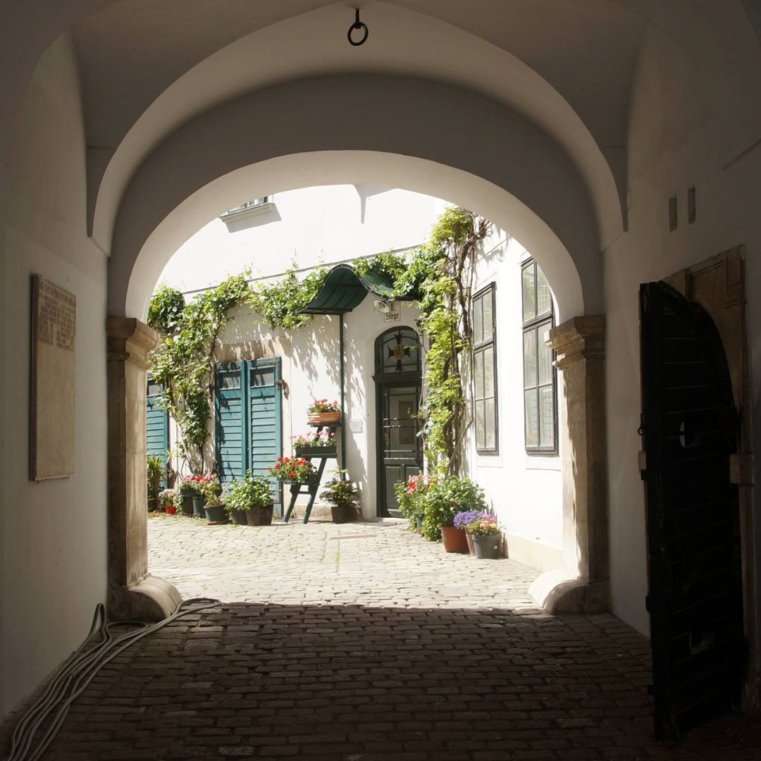 Read more about the article Vienna Behind the Scenes