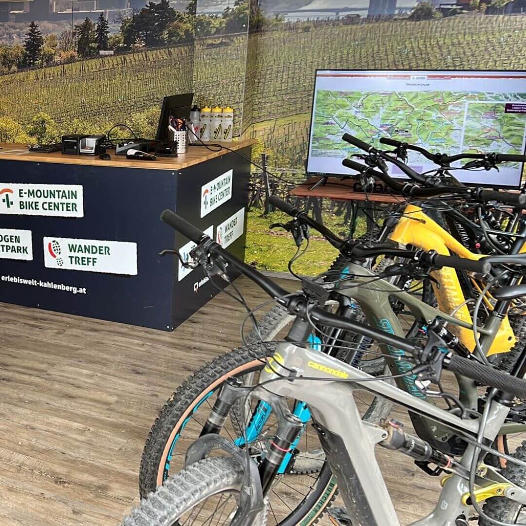 Vienna Woods E Mountainbike Tour 4