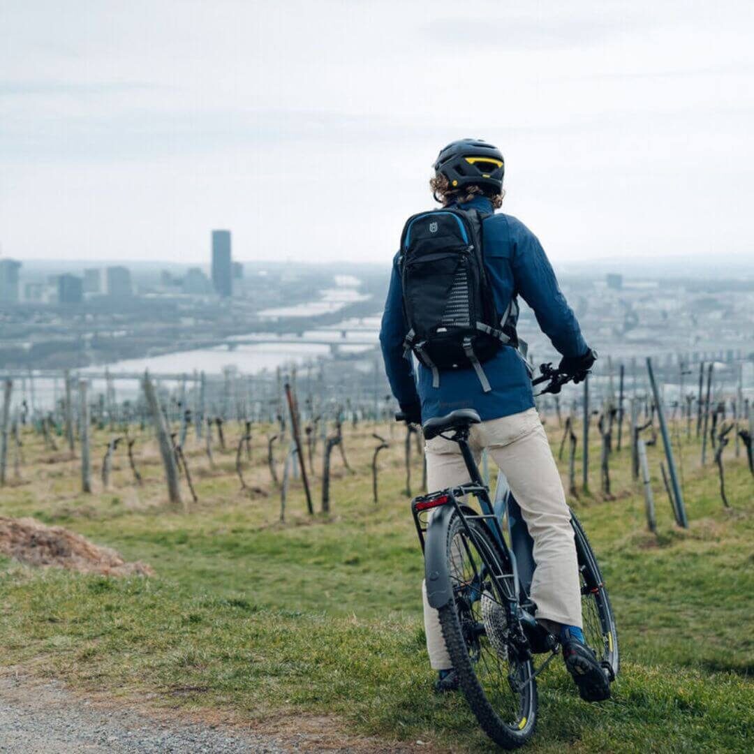 Vienna Woods E Mountainbike Tour Vienna Experience